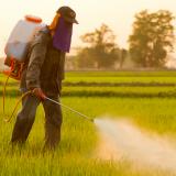 Pesticide Spraying Notice in Narrandera