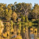 Narrandera Wetlands