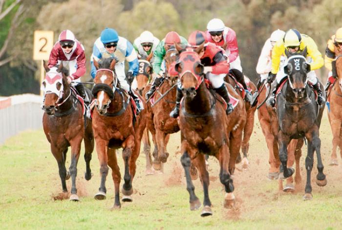 Narrandera 2019 ProTen Race Carnival