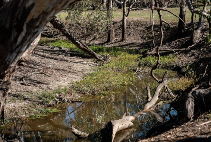 Cultural Connections in Conservation