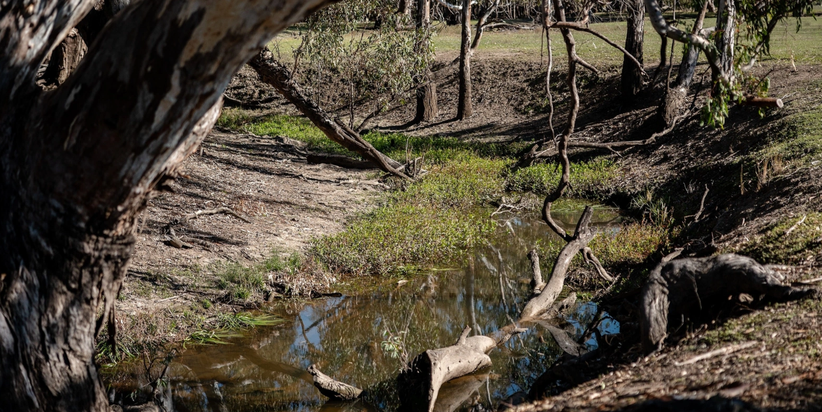 Cultural Connections in Conservation