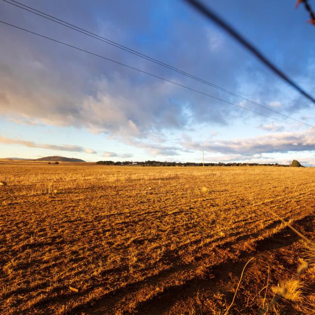 Drought Resilience