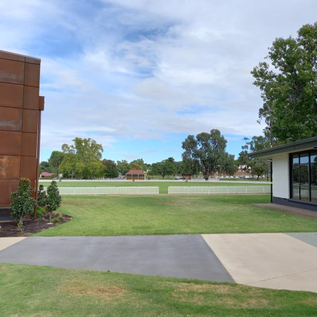 Public Consultation on Bearded Dragon Sculpture Proposal